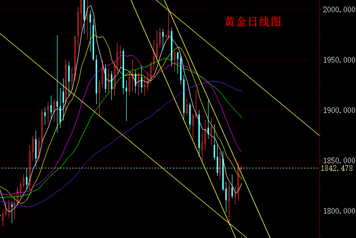 黄金日线图.png
