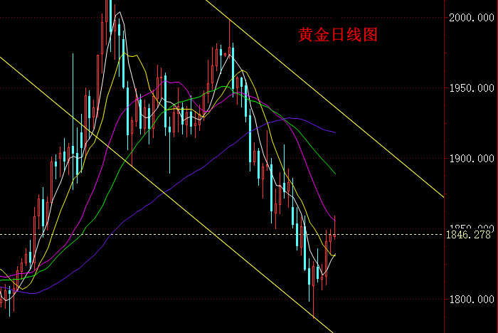黄金日线图.png