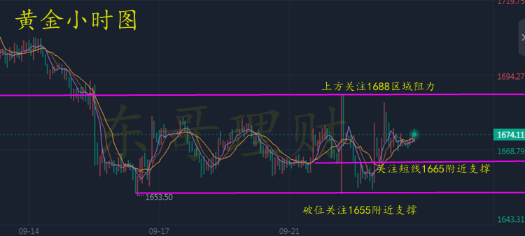 黄金黄金黄金_副本.png
