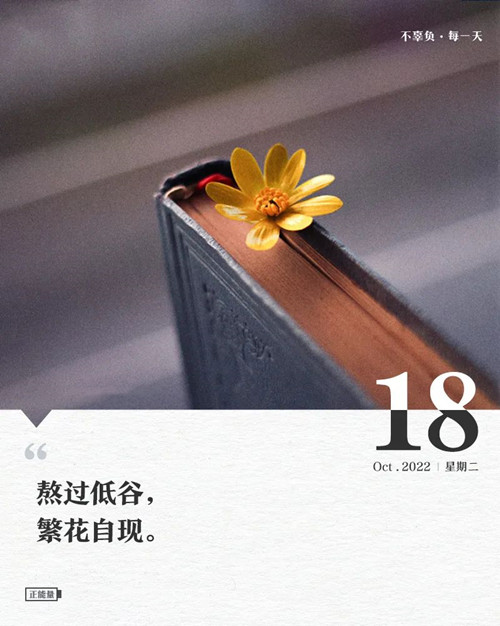 微信图片_20221018080039.jpg
