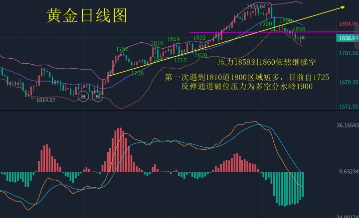 黄金555555555555555_副本.jpg
