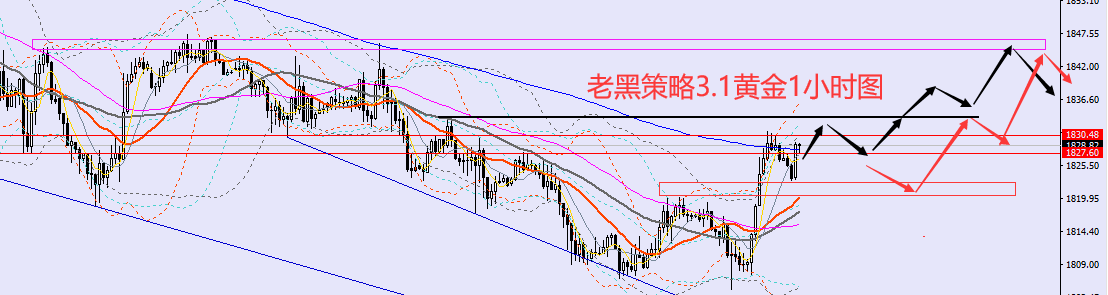 xauh.png