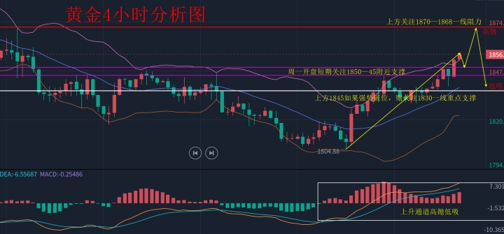 黄金5555_副本.jpg