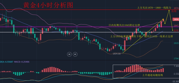 黄金5555_副本.jpg