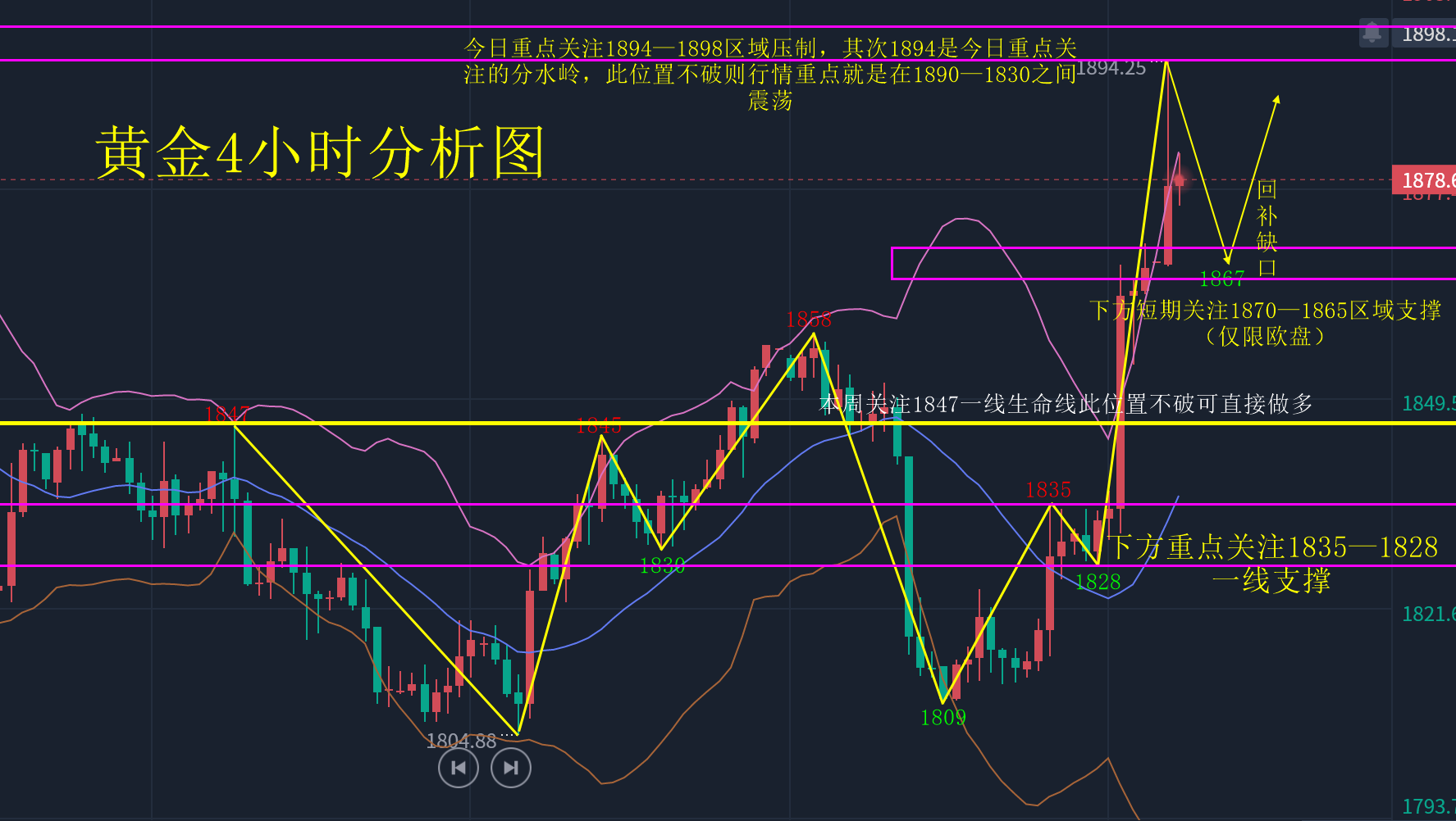 黄金9111222.png