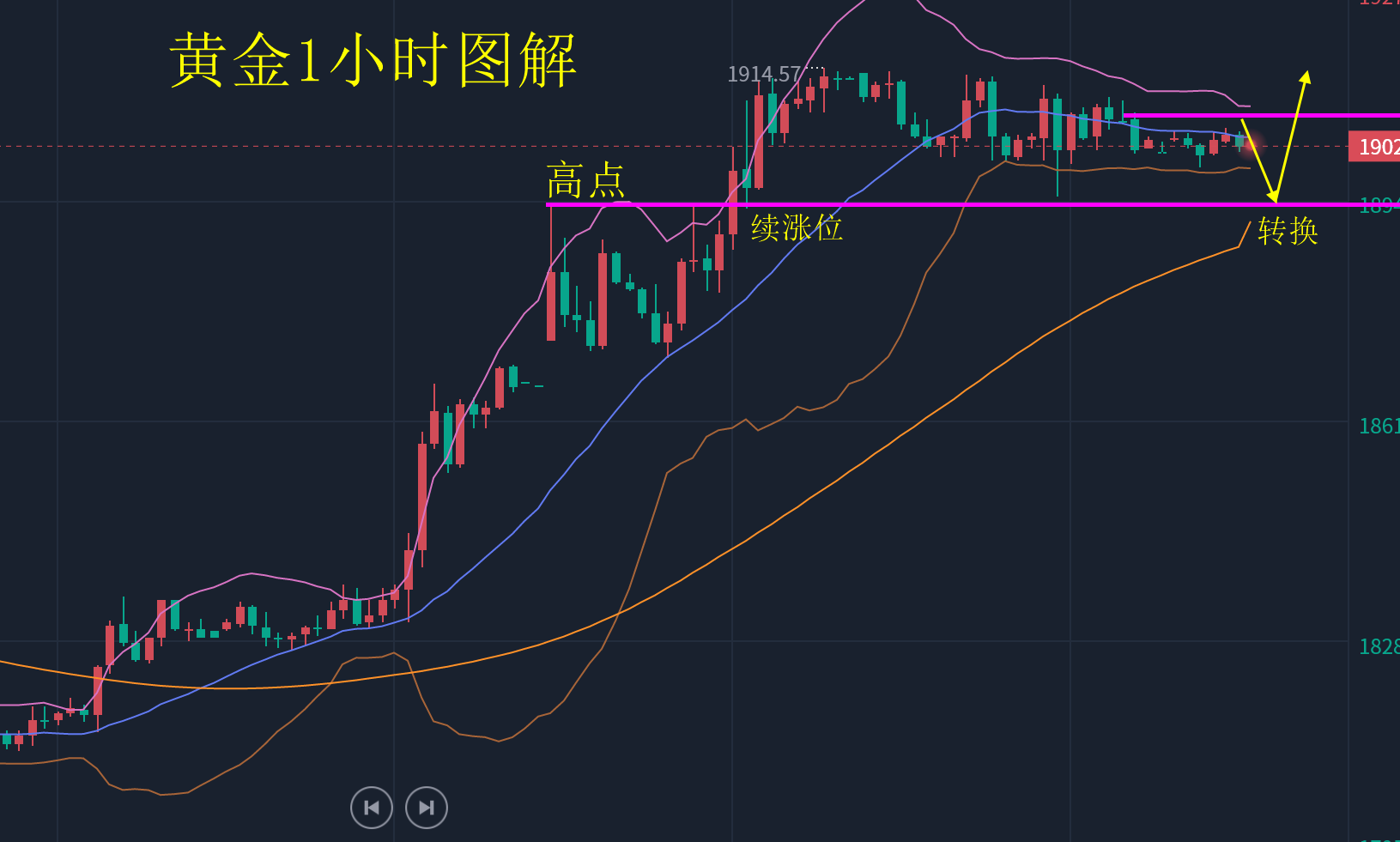 黄金888.png
