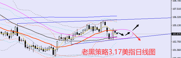 usd.png