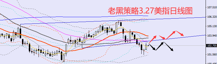 usd.png