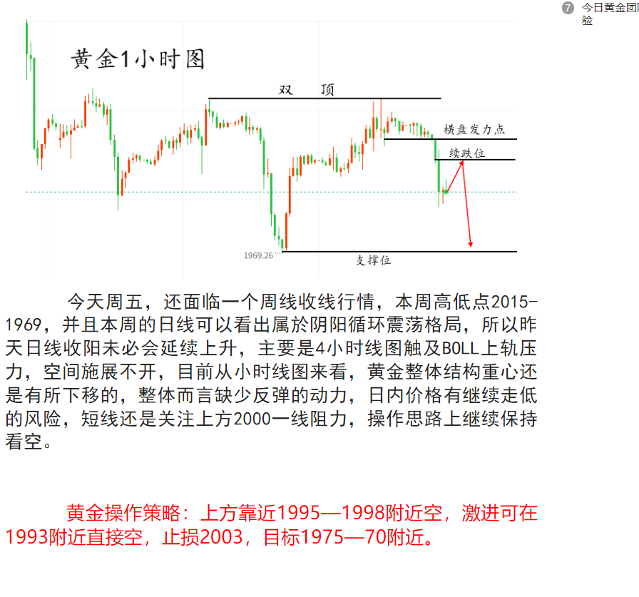 黄金兔兔.png