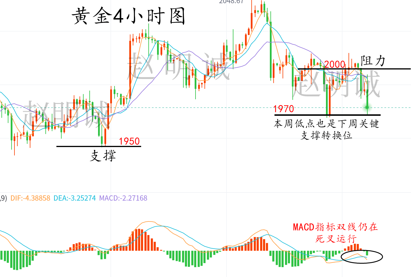 黄金888777.png