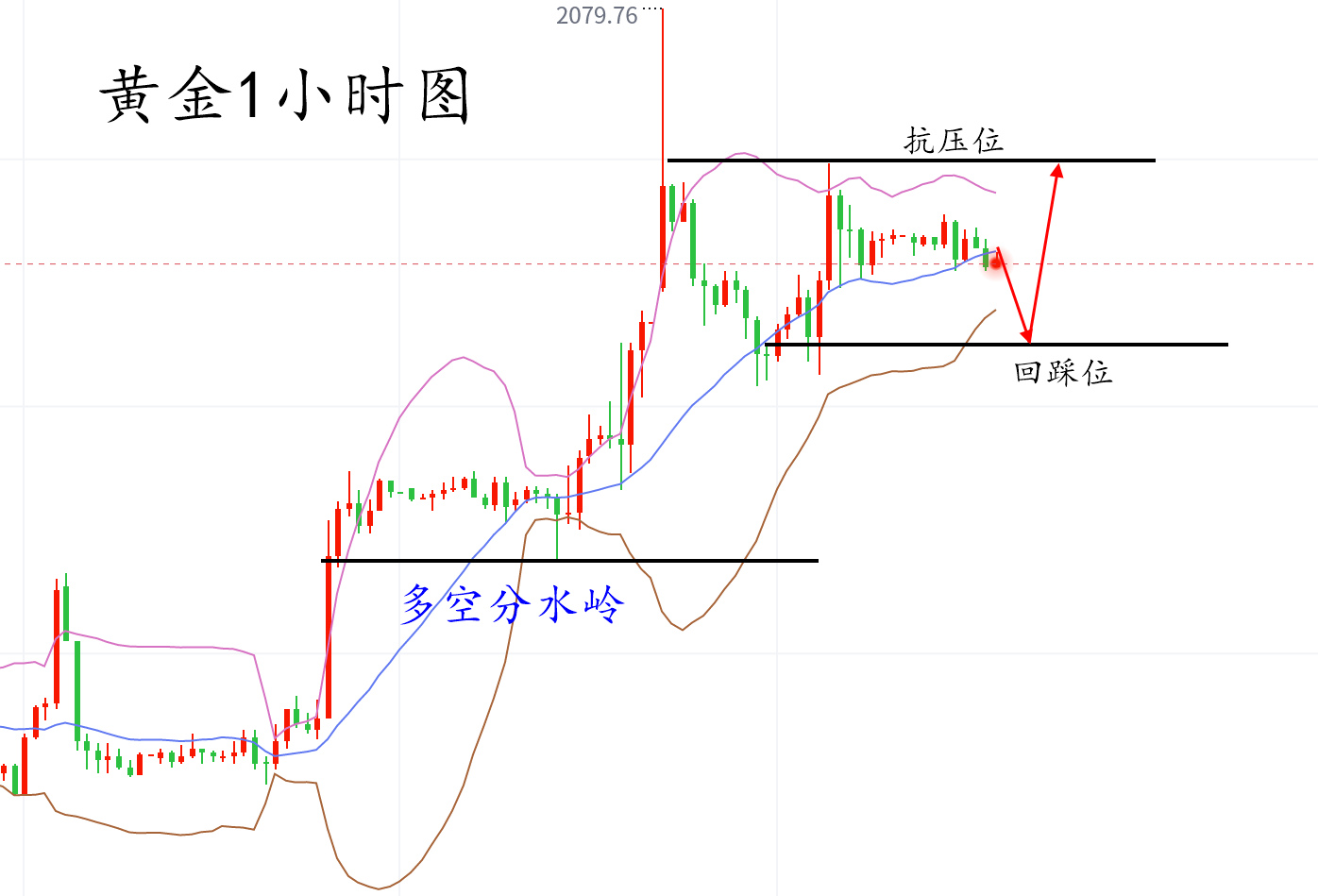 黄金111.png
