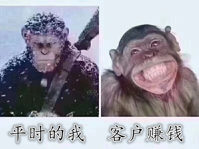 15511029063914503.jpg